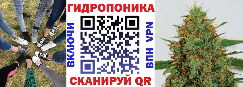 Конопля SATIVA & INDICA  блэк спрут онион  Таганрог 